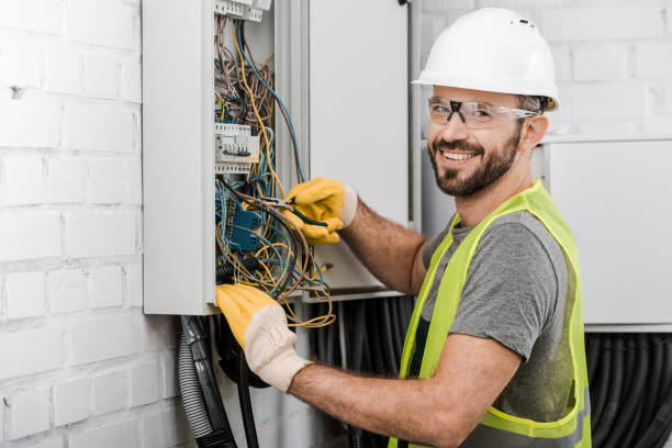 Best Electric Panel Repair  in Hutchison, VA